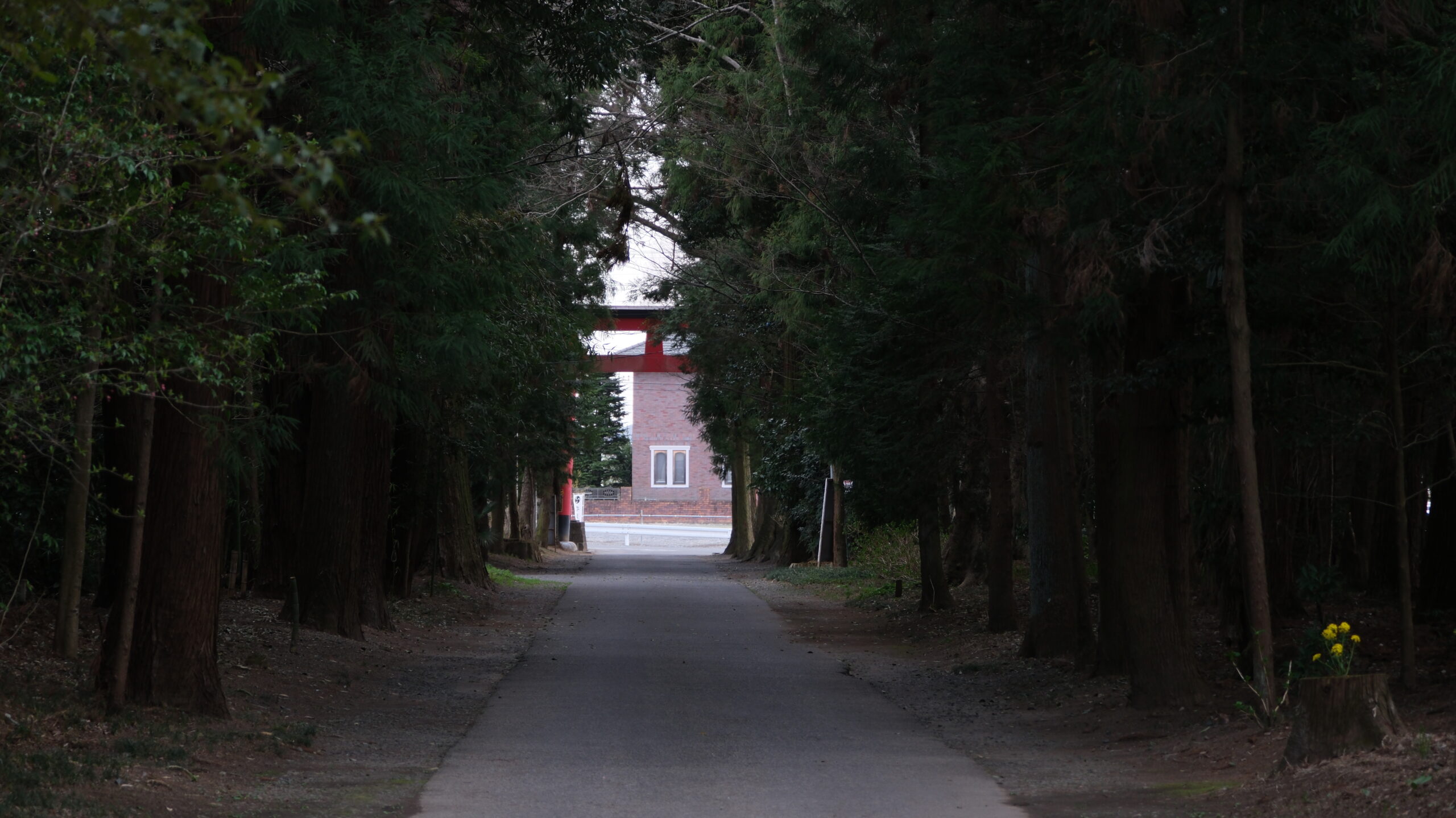 雄琴神社　一の鳥居